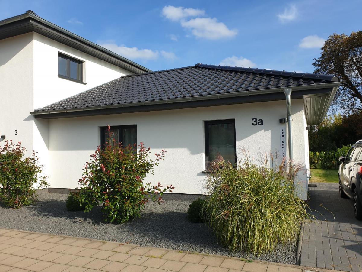 Mit Terrasse Apartment Neustrelitz